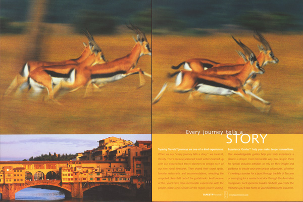 Tapestry Travels Brochure